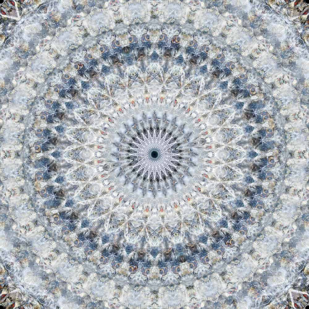 Cuadros de mandalas