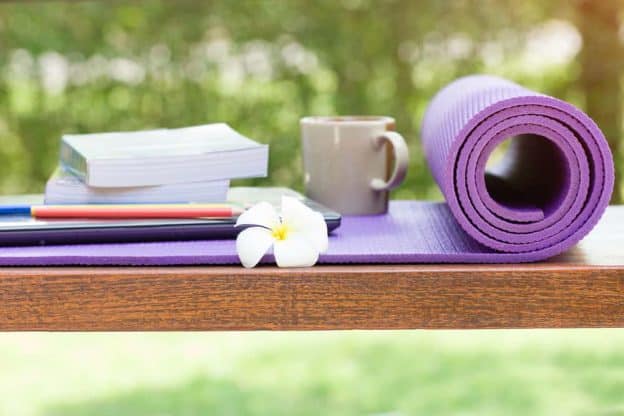 livros vinyasa yoga