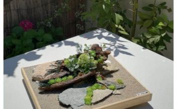 mini jardim japonês estilo buda