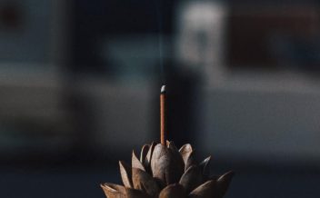 Porta incensos flor de Lotus