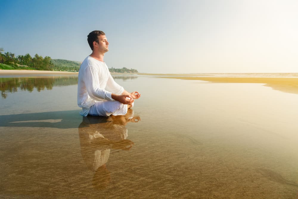 Raja yoga