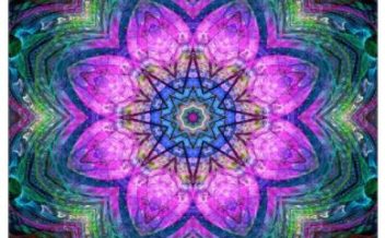 Dolphins dreamdesign cuadros mandalas