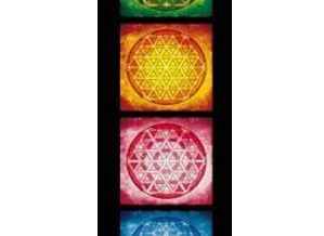 cuadros mandalas the flower of life