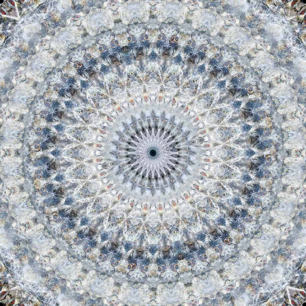 Cuadros mandalas